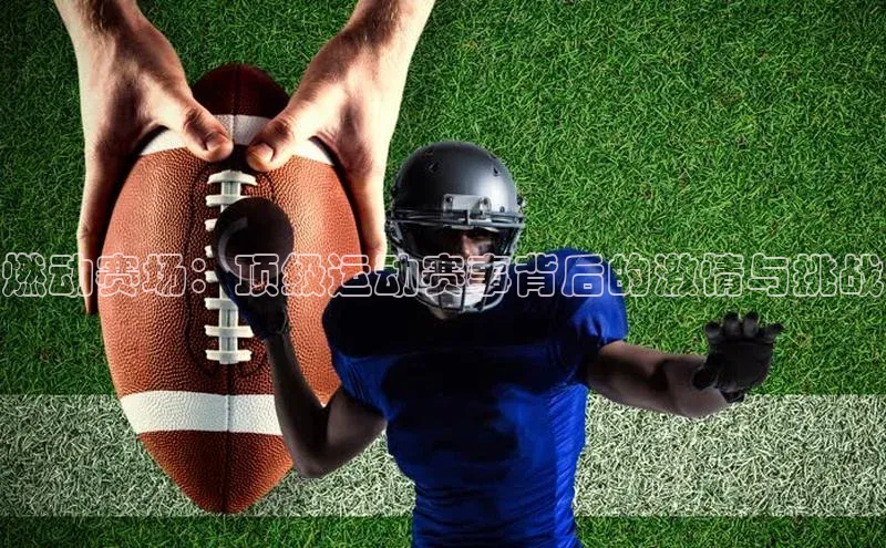 金年会·会官方入口登录