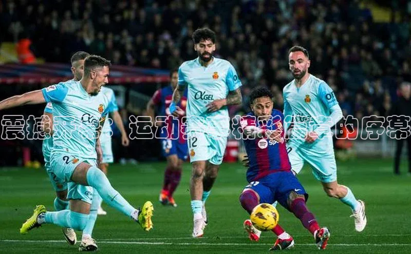 金年会网站入口